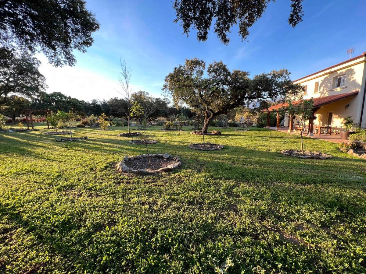 La Encina Guapa Casa Rural 20,000M2 De Intimidad Villa La Iglesuela Kültér fotó